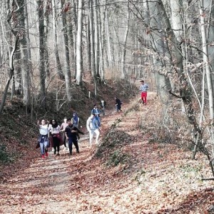 Wandern Sportunterricht - 1 Wandern Sportunterricht - 1