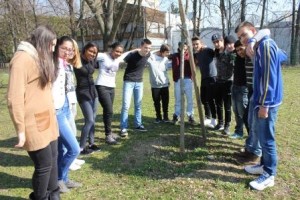 IMG_3115_home